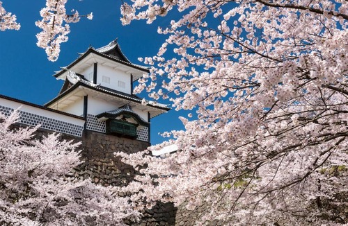 Kanazawa Hotel | Stacy Annex