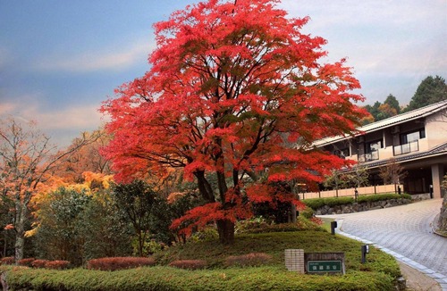 Gora House | Sushi Auberge Gorasaryo