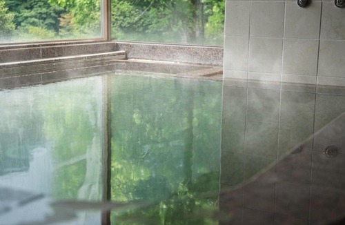 Takarazuka Hotel | Takarazuka Washington Hotel
