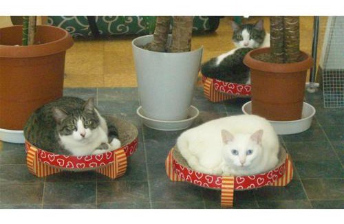 Isinomaki Hotel | TAMA HOTEL - Vacation STAY 41333v