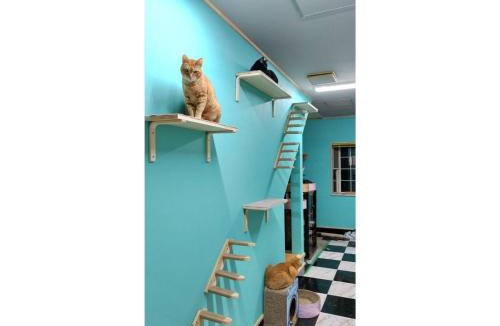 Isinomaki Hotel | TAMA HOTEL - Vacation STAY 41338v