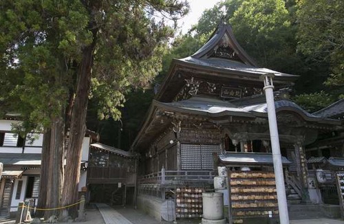Ueda Hotel | Tamaya Ryokan