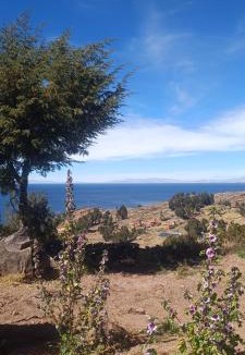 Isla Taquile Bed & Breakfast | TAQUILE LODGE Perú