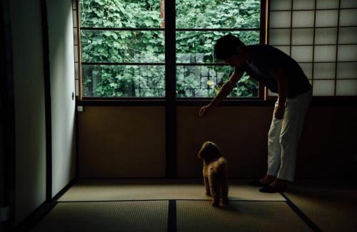Kanazawa House | Tenjin Tabine - Vacation STAY 24235v