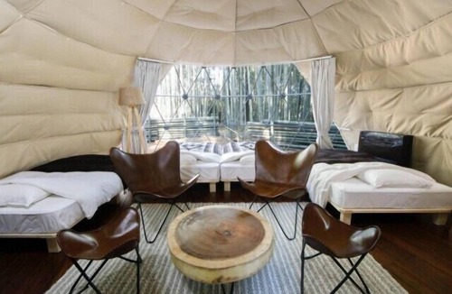 Ichihara Hotel | The Bamboo Forest