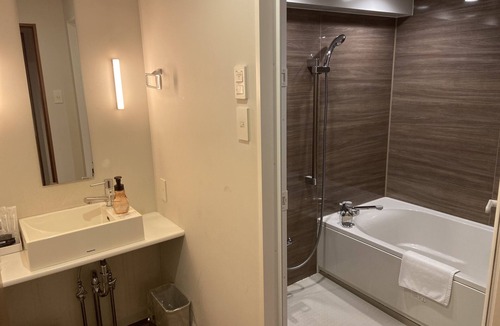 Nishishinsaibashi Hotel | The Wall Hotel