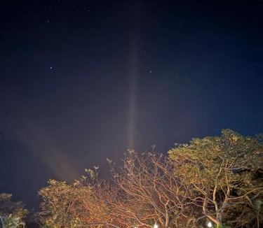 Izumi House | This is Okinawa Nature Stay Yanbaru Forest
