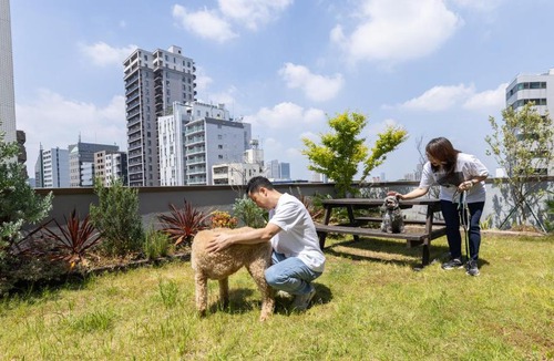 Takanawa Apartment | Time Camp 高輪