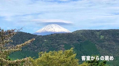Hakone Hotel | Trip7箱根仙石原温泉ホテル