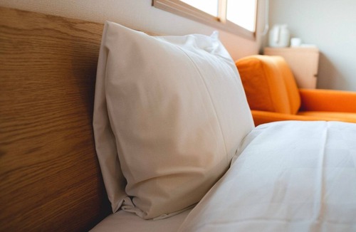Fushimi Hotel | Twin room with private bathroom/Kyoto Kyōto