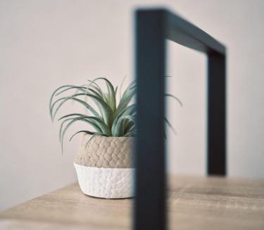 Suizenji Apartment | vetta kumamoto suizenji 403