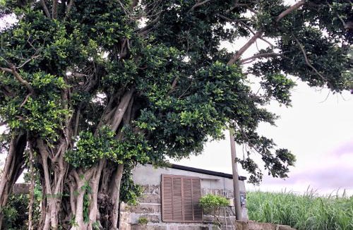 Gushichan Villa | Villa Gazamani Aug,2019 Open! For only one group a day