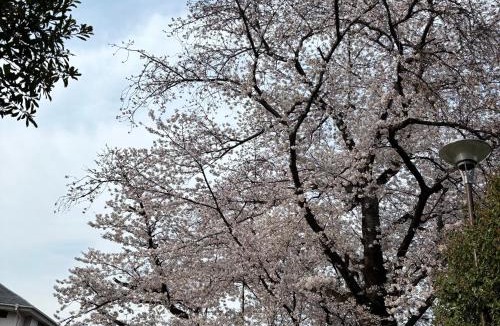 Kamitakada Apartment | WOMEN ONLY 3F