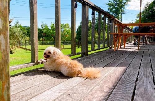 Katsuura Other | Wooden House Konta - Vacation STAY 65729v