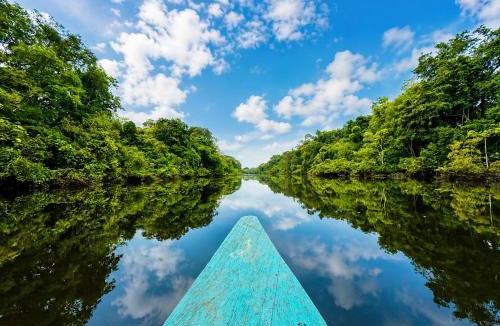 Saquena Other | Yaku Wasi - Amazon River Cabin - Iquitos