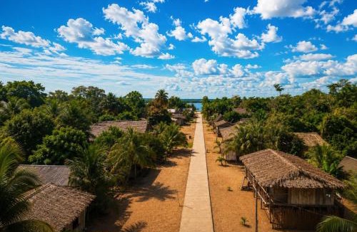 Saquena Other | Yaku Wasi - Amazon River Cabin - Iquitos