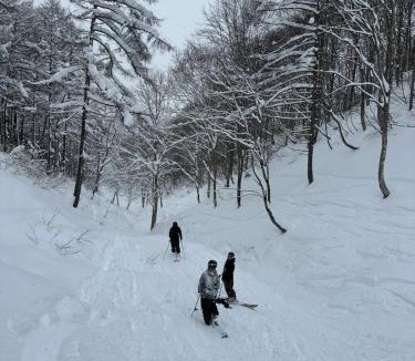 Madarao Mountain Resort Cabin | Yamadasan Ski Lodge - Madarao