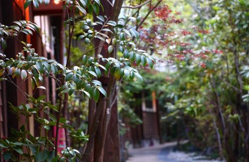 Oguni Hotel | YamakawaZENZO