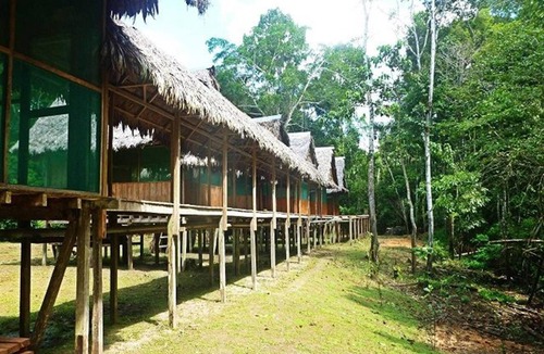 Indiana Cabin | Yanayacu River Lodge