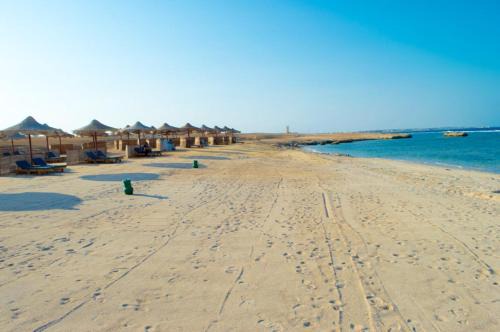 شاليه 2 غرفه