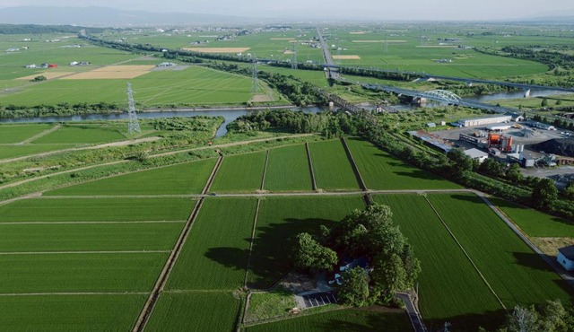 ガストロノミー 北海道旭川 田園の中のオーベルジュ Maison Tsugawa Hokkaido