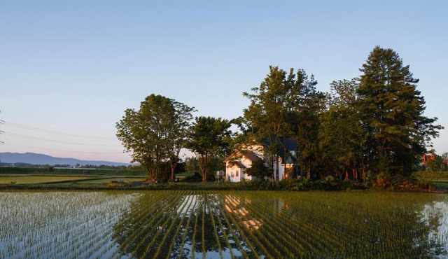 ガストロノミー 北海道旭川 田園の中のオーベルジュ Maison Tsugawa Hokkaido in Numata