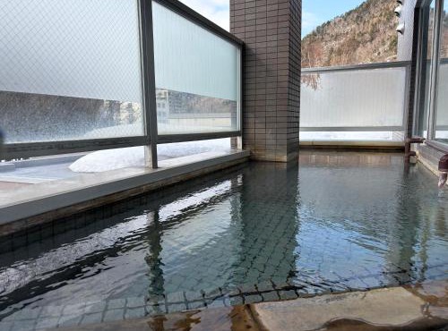 フューデイズコンドミニアム定山渓102号室