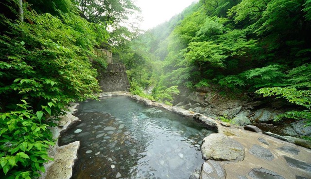 塩原温泉 渓流野天風呂と炉端料理の宿 湯守田中屋