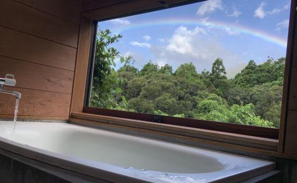 屋久島 四季の宿 in Yakushima
