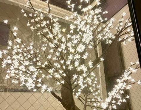 渋谷駅徒歩10分!一棟まるごと貸し切り!お子様歓迎駐車場無料10人ok5部屋バスルーム2つ