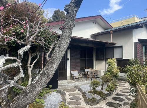 湯河原の樹