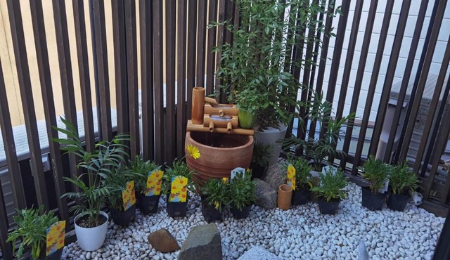 秋桜館Cosmos in Kyoto