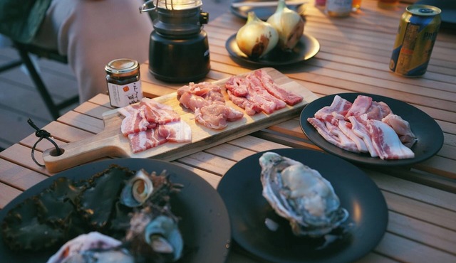 1 Geodome Seaside Site DinnerBreakfast Includ/Oki County Shimane