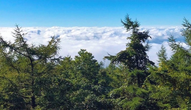 A spectacular view A view of the Kanto Plain The - Shimoda House / Nasu-gun Tochigi