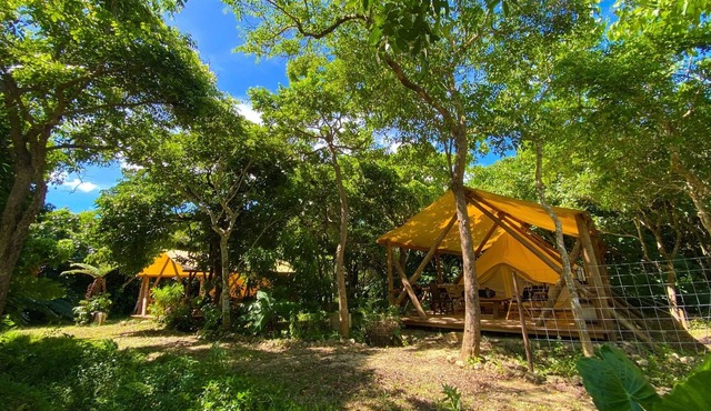 All inclusive A special time spent in the wilder / Ishigaki Okinawa