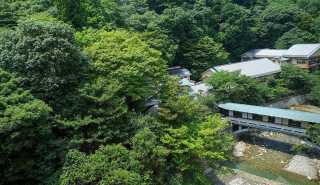 Arima Onsen Gekkoen Korokan in Kobe