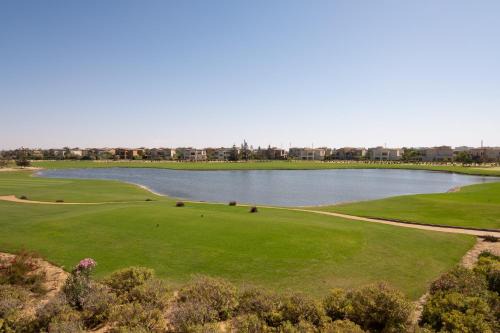 BIRD NEST - Marassi Verdi in El Alamein
