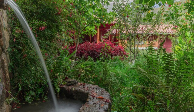 Birds Hotel Molino