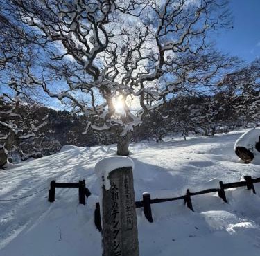 Blue Art Satoyama Retreat