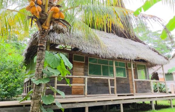 Bromelias Pacaya Samiria Lodge in Iquitos