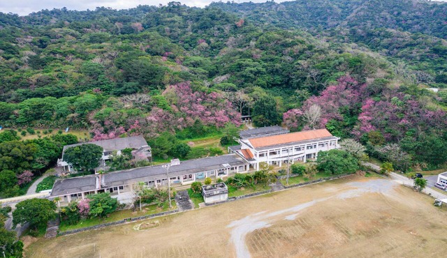 BUNAGAYA in Ogimi