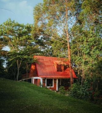 Cabaña Moyobamba
