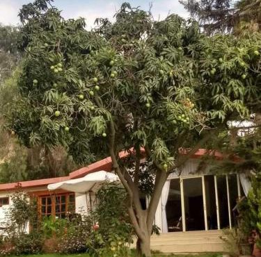 Casa Campo Isabel Quinteros in Chaclacayo