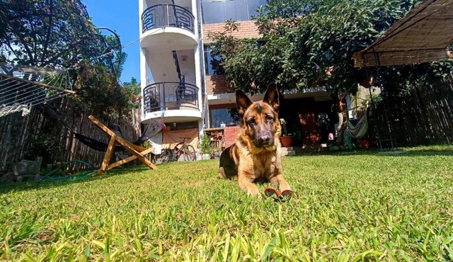 Casa de Campo en Lunahuaná con jardin amplio para Familias y Amigos in Lunahuaná