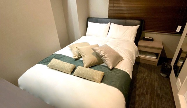 Checkin from 2100 to 2300 Great double room p/Chiyoda-ku Tokyo in Chiyoda-ku