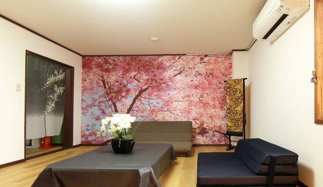 Cherry blossom room / Kyoto Kyōto