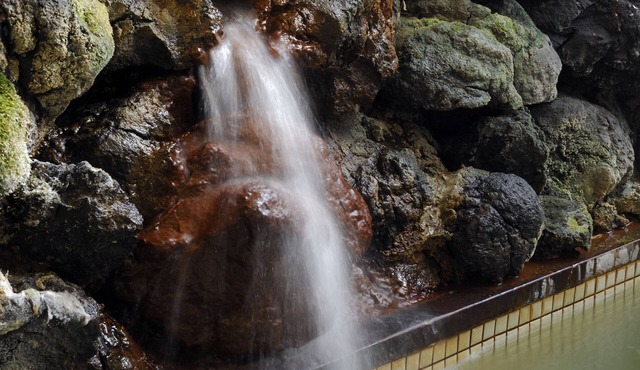 Chuoukan Shimizuya Ryokan