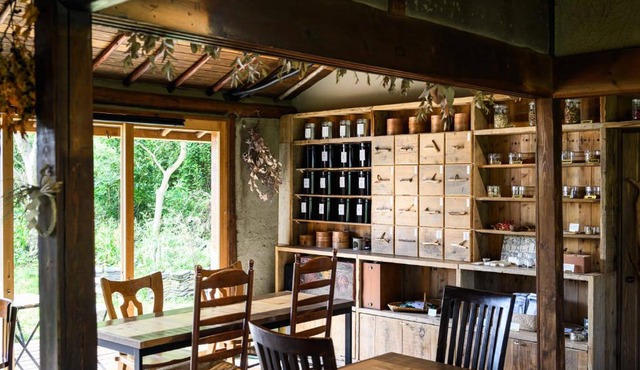 cofunia - Five Elements Retreat on the Yamanobe Trail
