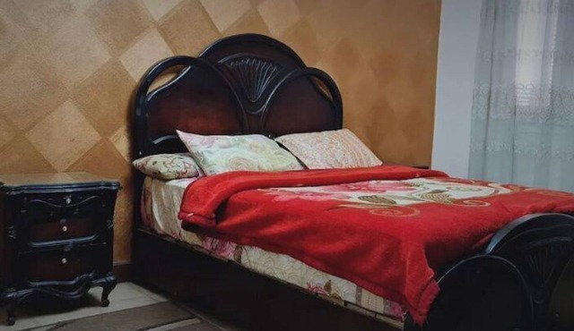 Comfy 3-Bedrooms Apartment in Cairo (87)