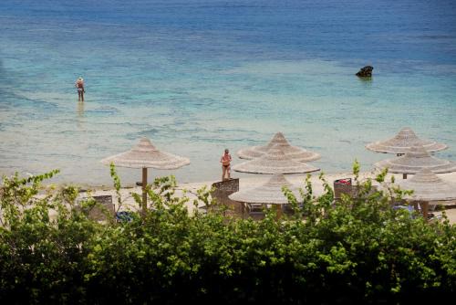 Concorde Moreen Beach Resort in El Quseir